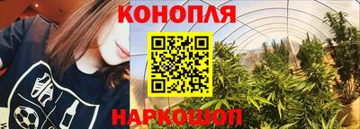 гидропоника Кинель