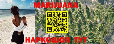 ГАЛЛЮЦИНОГЕННЫЕ ГРИБЫ Кингисепп