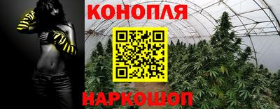 гидропоника Кинель