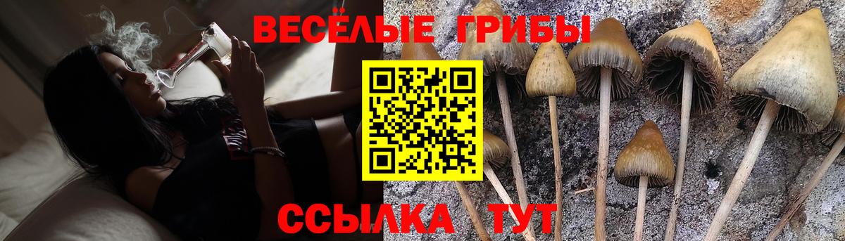Псилоцибиновые грибы мухоморы Лесозаводск